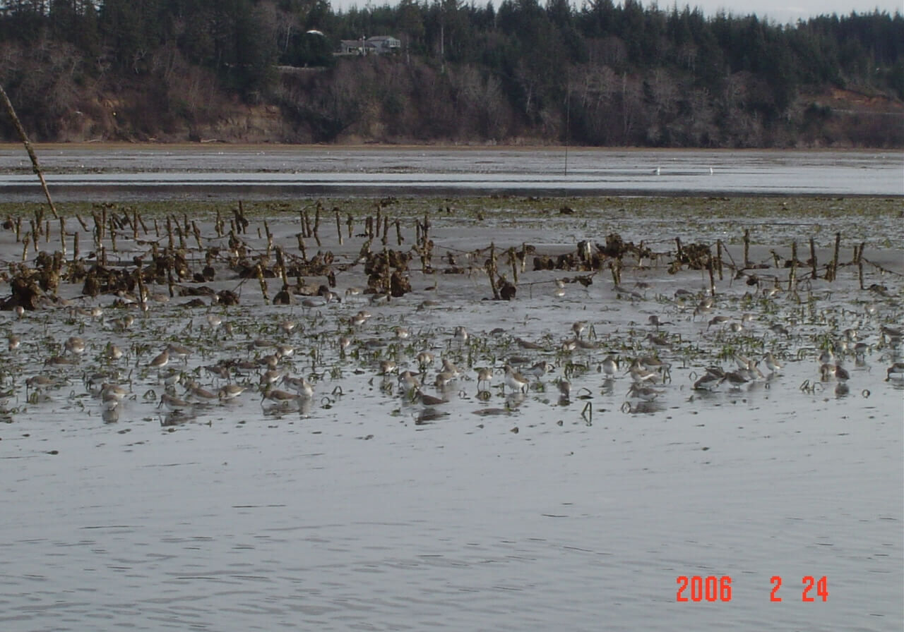 April-2013-winner-Don-Gillies