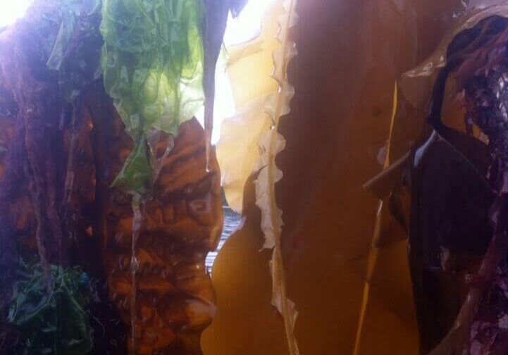 April-Winner-Weatherly-Bates