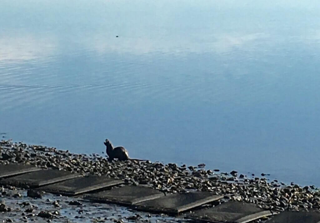 August-Winner-Duane-Fagergren