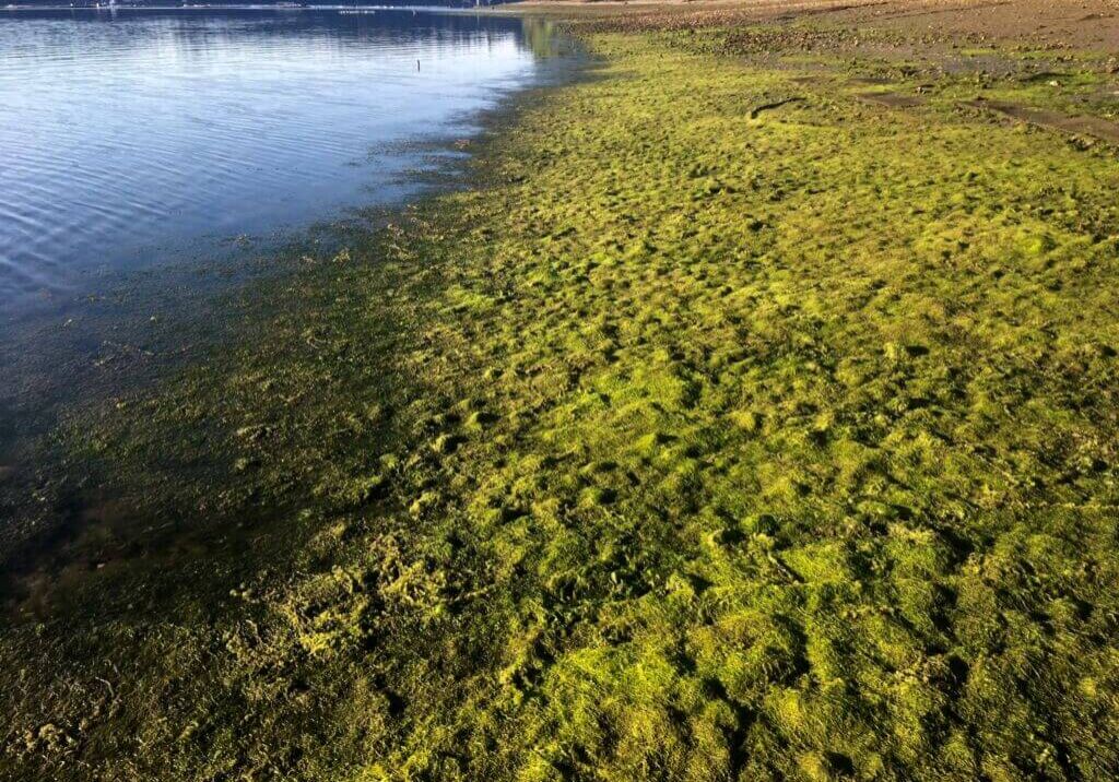 August-Winner-Duane-Fagergren