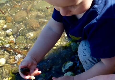 August-winner-Dawn-Smart