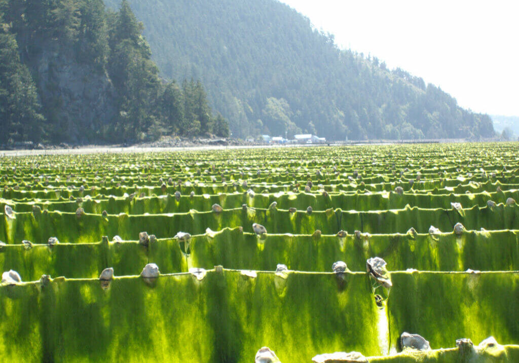 SANYO DIGITAL CAMERA