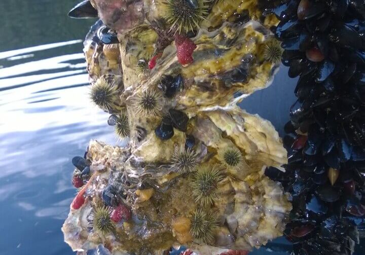 December-winner-Paul-Taylor