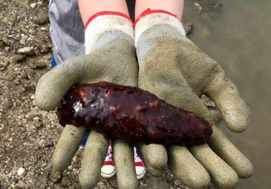 Feb-winner-Daniel-Hanson