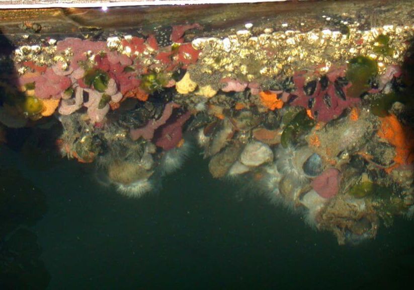 Feb-winner-Linda-Schaffel