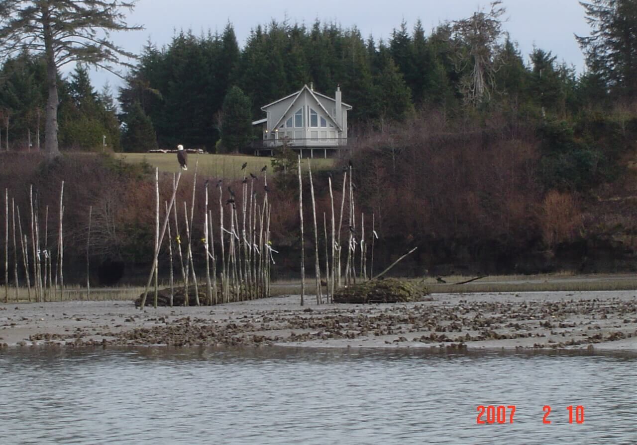 Jan-2013-winner-Don-Gillies