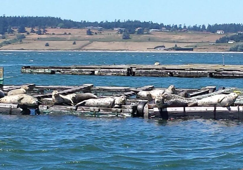 July-2013-winner-Ian-Jefferds