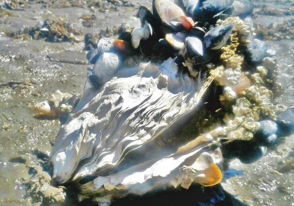 July-winner-Margaret-Homerding