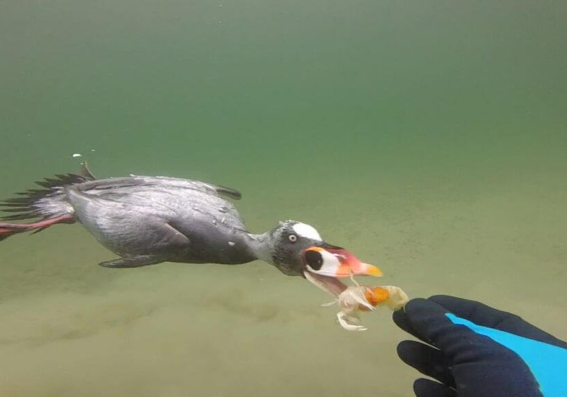 June-winner-Nyle-Taylor