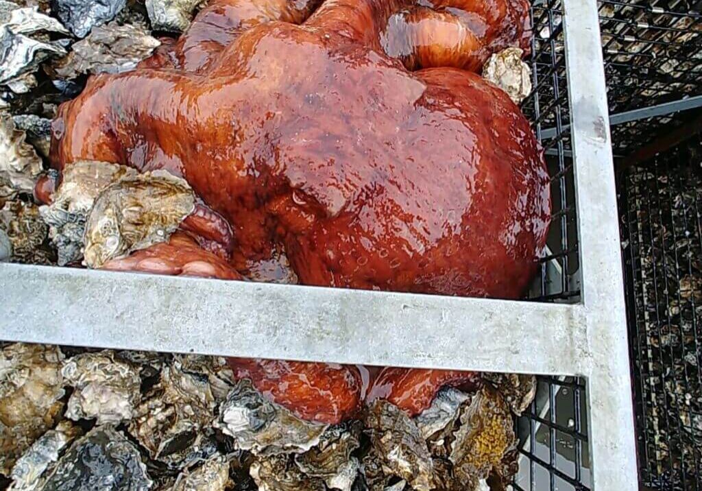 March-winner-Scott-Smith