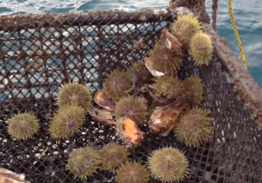 March-winner-Weatherly-Bates