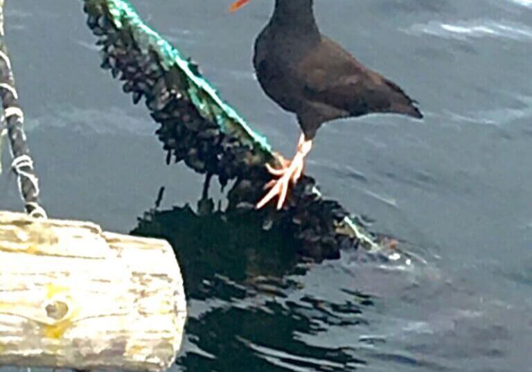 March-winner-Zach-Loescher