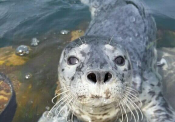 May-2016-winner-Brad-Woolf