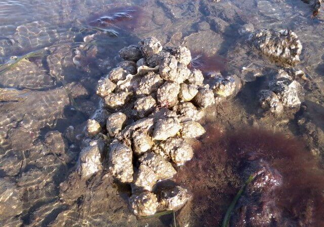 May-Winner-Brian-Sheldon