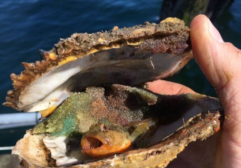 May-winner-Jeremy-Esposito