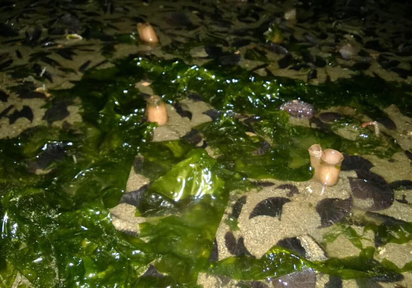 Nov-winner-Brian-Phipps