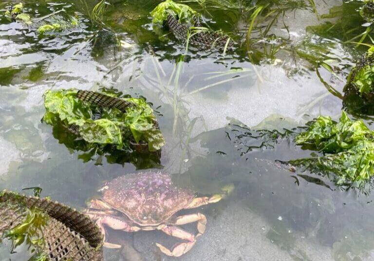 Nyle-Taylor-June-winner-scaled