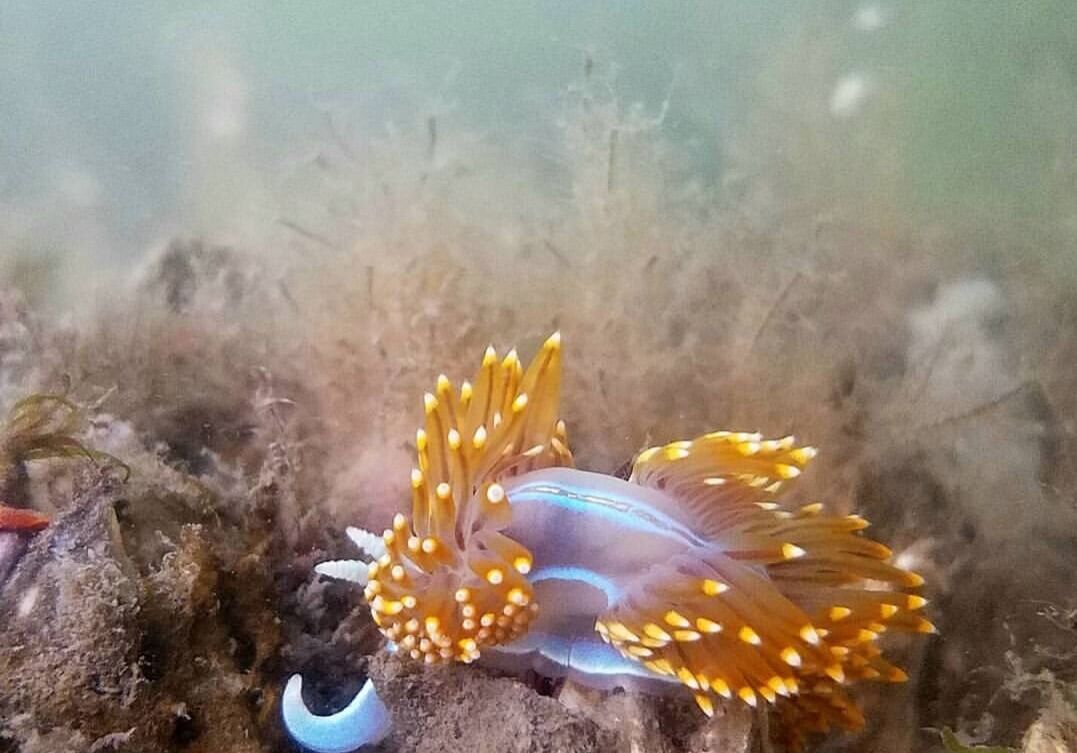 Oct-winner-Wesley-Hull