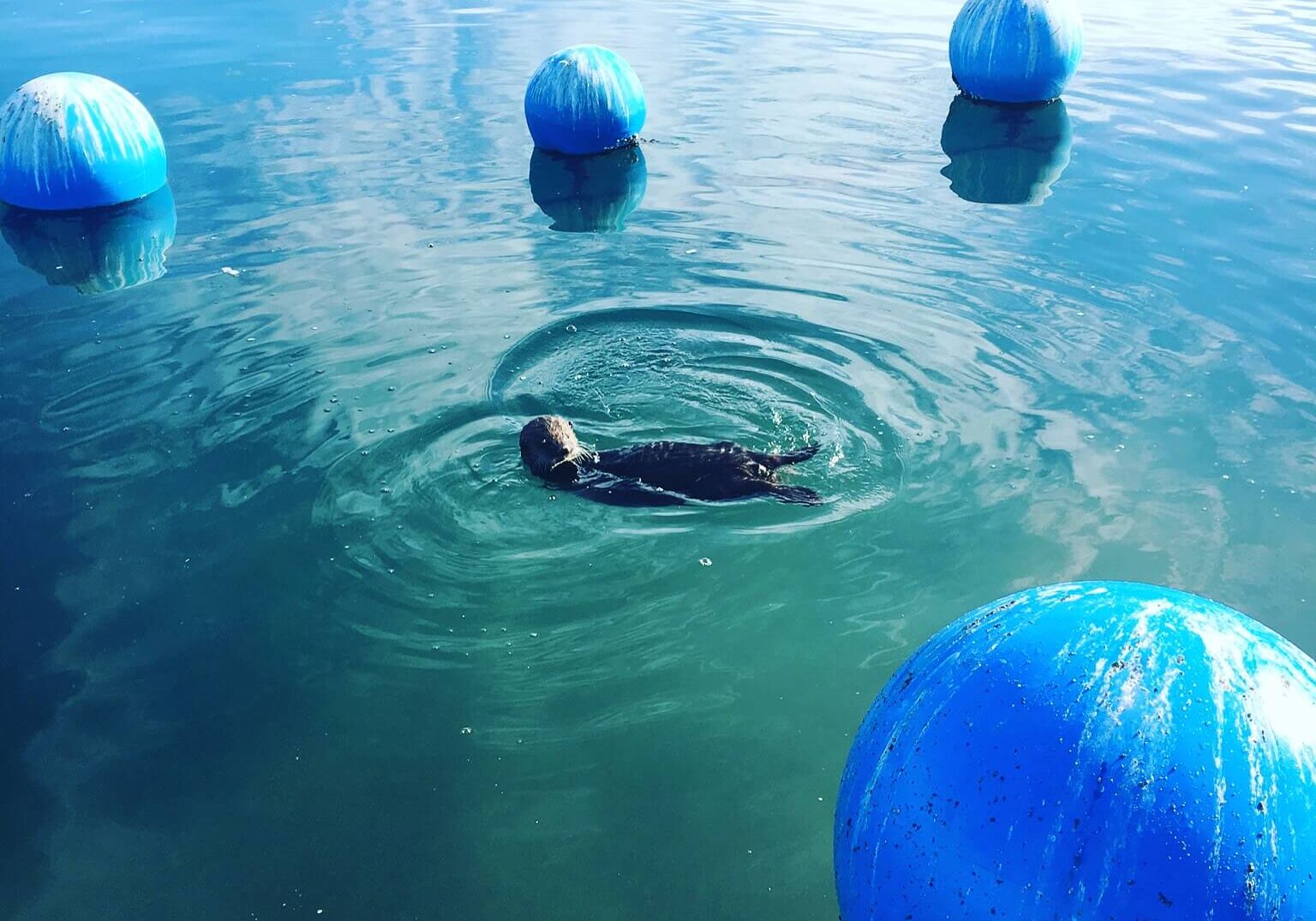 October-Winner-Weatherly-Bates