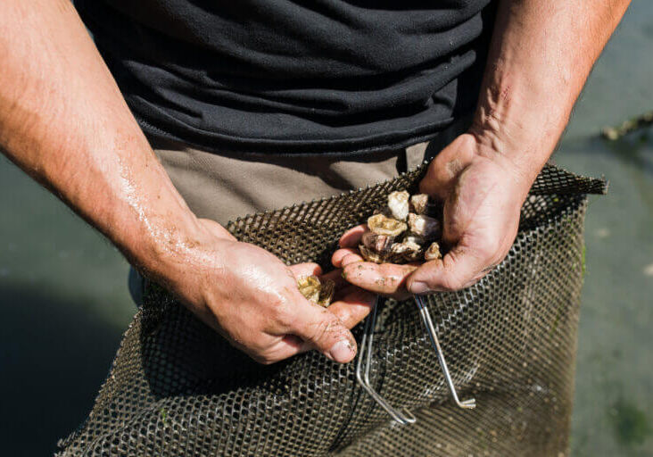 Perkins Family Farms Perkins Family Farms