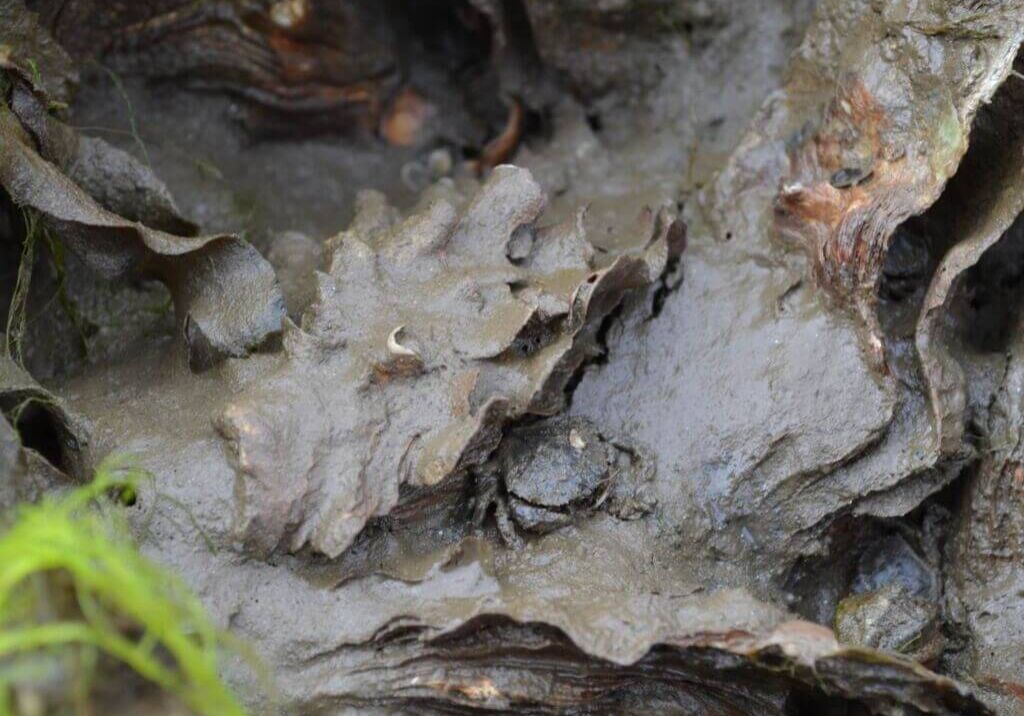 Sept-2013-winner-Bill-Dewey