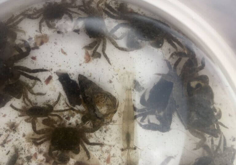 Winner-Duane-Fagergren